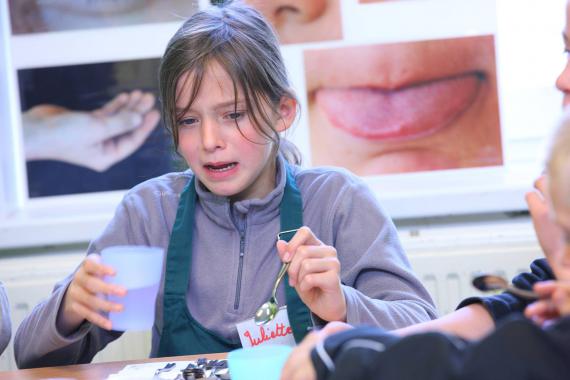 Le Parc naturel des plaines de l’Escaut mène un atelier du gout dans une école de Guignies : expérience, information et débat.