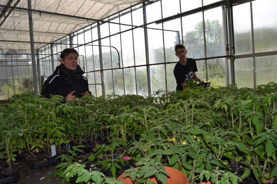 « Livrer la production à la cuisine et vendre plants et légumes à l’extérieur donne du sens aux apprentissages », souligne Céline Danloy, responsable du secteur « maraichage ».