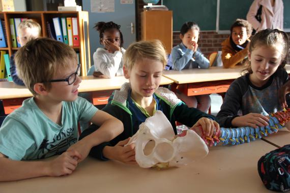 Le programme de prévention débute par l’observation de la colonne vertébrale.