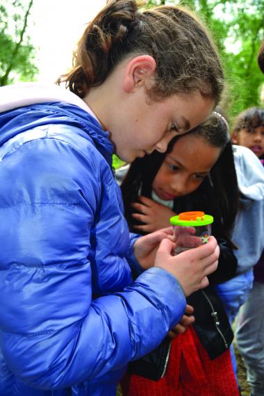Après la pêche, l’observation minutieuse… Les classes d’eau accueillent les classes dès la 2e et jusqu’à la 6e primaire.