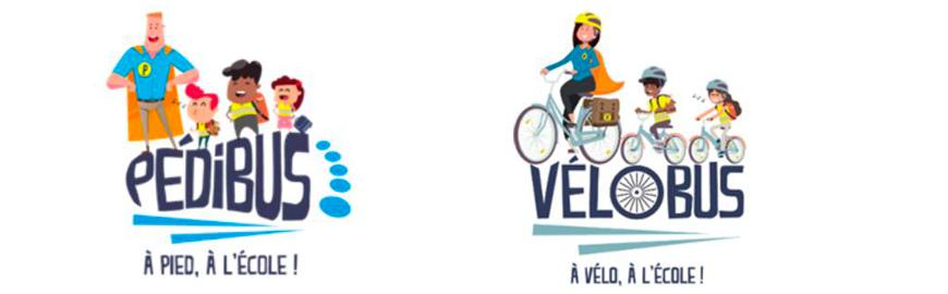 enquête pédibus vélobus