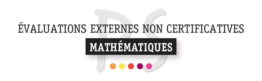 Evaluations externes non certificative en mathématiques